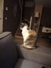 Photo de 'keidy