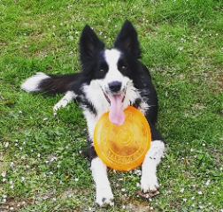 Photo de Olaf