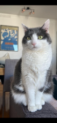 Nina