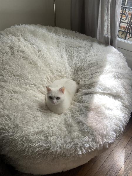 Princesse