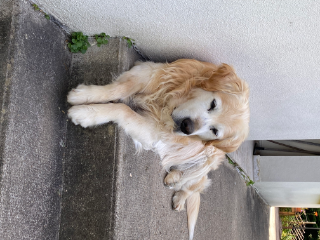 Photo de Éclair