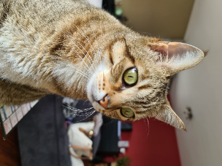Photo de Tina