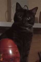 Léon