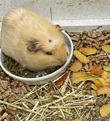 Photo de Queeny