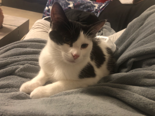 Photo de Lucky
