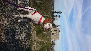 Photo de Molly