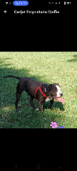 Photo de Skai