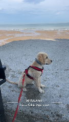 Photo de Ulla