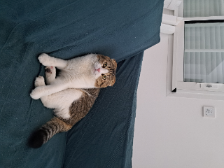 Photo de Spicy