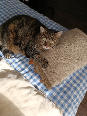 Photo de Yumi