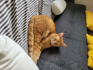 Caramel