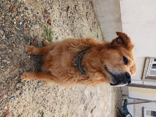 Photo de Polka