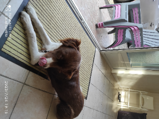 Mally