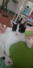Tom