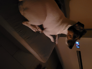 Photo de Lizzie