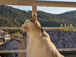 Photo de Bali