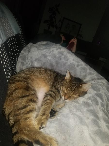 pixel