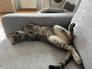 Photo de Jazz