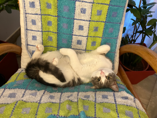 Photo de Berry