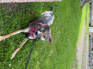 Tina