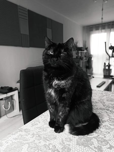 Naya