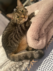 Photo de Doudou