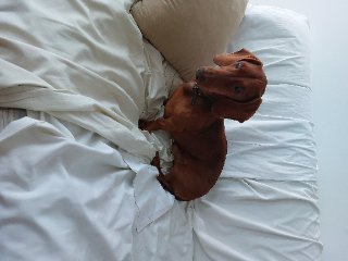 Lucky