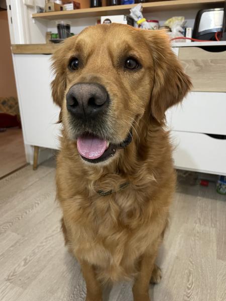 Léon