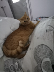 Photo de Eliot