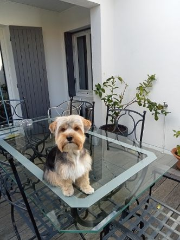 Photo de SHARLY