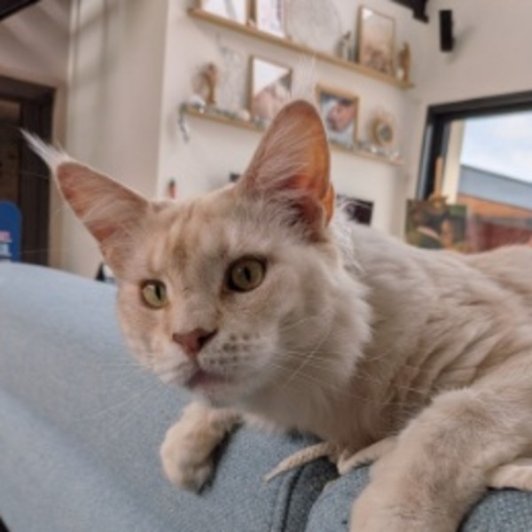 Photo de Umi
