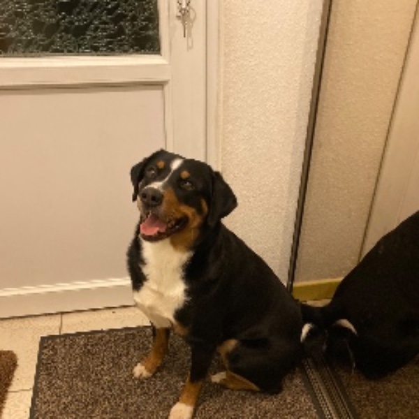 Photo de Bégo