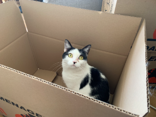 Photo de Lilou