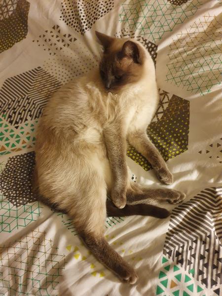 Photo de NOUKIE