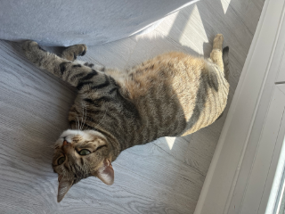 Photo de Bora