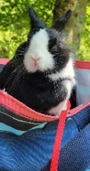 Photo de Yuki