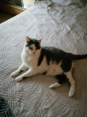 Photo de Athena