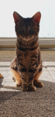 Photo de Biboo