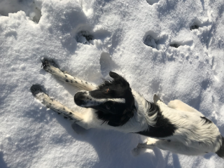 Photo de Miss Poppy