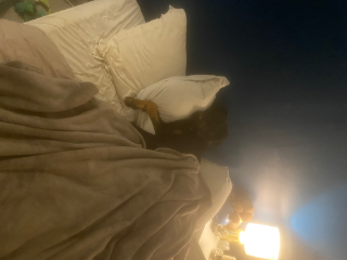 Photo de Simba
