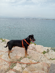Photo de Titch