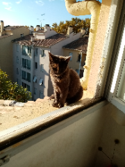 Photo de frimousse