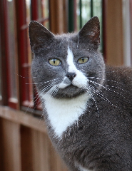 Photo de Toulouse