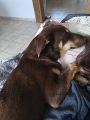 Photo de TAIA