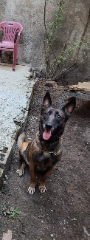 Xena