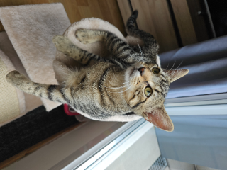 Photo de TSUKI