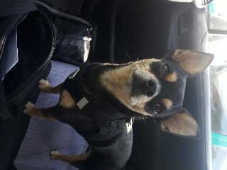 Photo de modjo