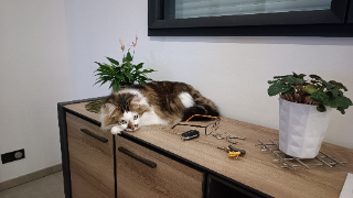 Photo de Sushi