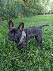 Photo de Seko
