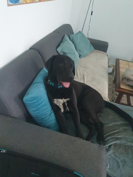 Athos
